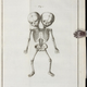 Illustration for article titled Own a Piece of Morbid Medical History